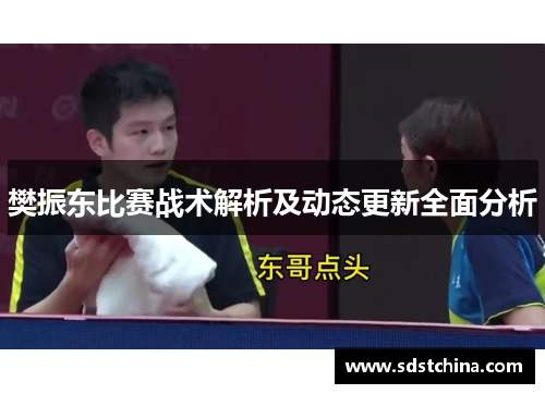 樊振东比赛战术解析及动态更新全面分析