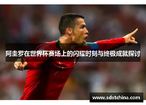 阿圭罗在世界杯赛场上的闪耀时刻与终极成就探讨
