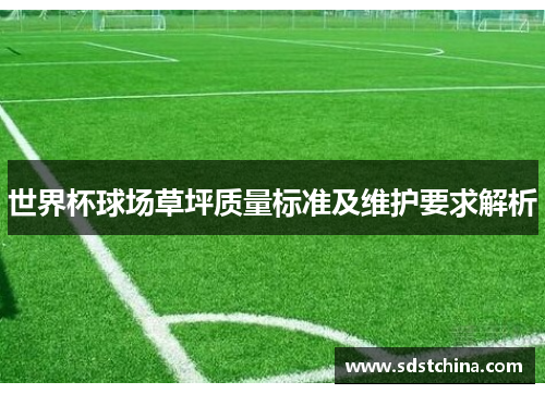 世界杯球场草坪质量标准及维护要求解析