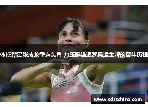 体操新星张成龙崭露头角 力压群雄逐梦奥运金牌的奋斗历程