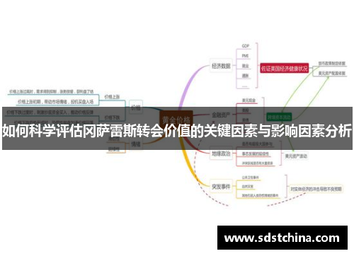 如何科学评估冈萨雷斯转会价值的关键因素与影响因素分析