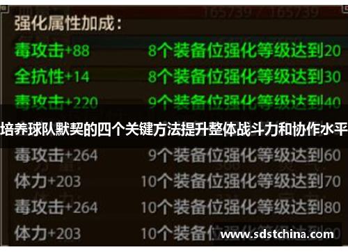 培养球队默契的四个关键方法提升整体战斗力和协作水平