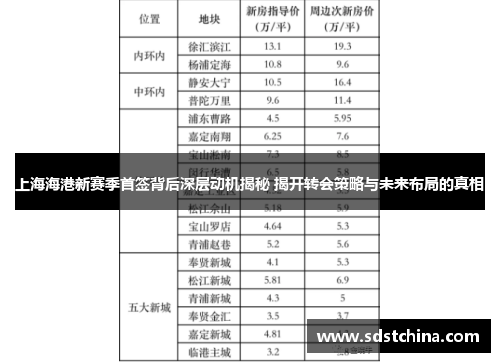上海海港新赛季首签背后深层动机揭秘 揭开转会策略与未来布局的真相