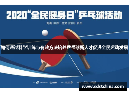 如何通过科学训练与有效方法培养乒乓球新人才促进全民运动发展